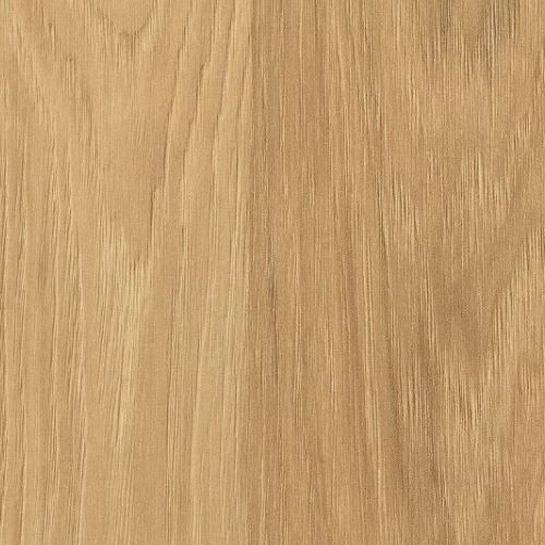 H3730 ST10 Hickory natuur