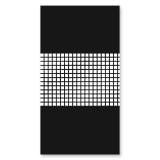 Douchecabine deur zijdelings glas gezandstraald CARRE 2/210