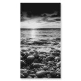 Douchecabine van glas met hoekinstap en MOTIEF ZEE 1/209