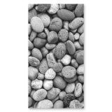 Glas douchecabine deur met zijpaneel met motief STENEN 210