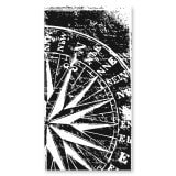 Glas douchecabine deur met zijpaneel met motief WINDROSE 210