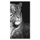 Glas douchecabine deur zijdelings met motief TIJGER 210