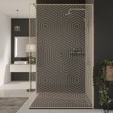 Glazen scheidingswand douche met kleurendruk FRAME HEXAGON Glazen scheidingswand douche met kleurendruk FRAME HEXAGON