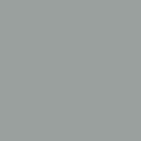 Gelakt glas - Metaalgrijs / Zilver - REF 9006, 6mm