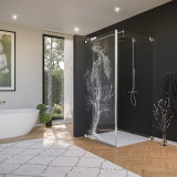 Glas douchecabine deur met zijpaneel en draakmotief 210