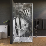 Glas douchecabine deur met zijpaneel en vismotief 2/210