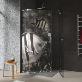 Douche cabine glas hoekinstap met motief VISSEN 2/209