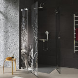 Douchecabine glazen hoekinstap BOOT IN HET RIET 209