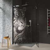 Douchecabine glazen hoekinstap TIGER 209