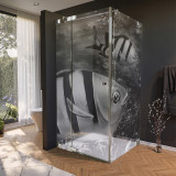 Glas douchecabine deur met zijpaneel en vismotief 2/210