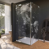 Glasdouchecabine deur met motief KWALLEN 210 aan de zijkant