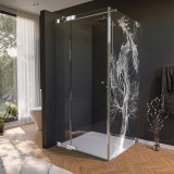 Glas douchecabine deur met zijpaneel en draakmotief 210