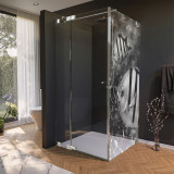 Glas douchecabine deur met zijpaneel en vismotief 2/210